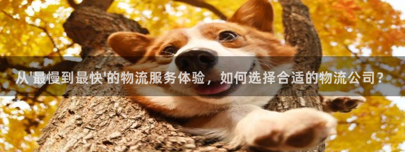 多多28图片
