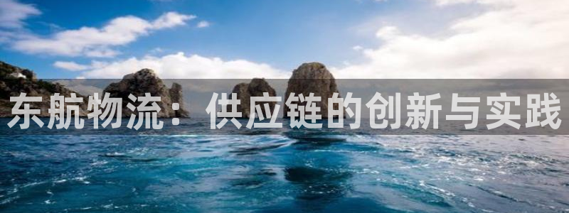 多多28官网预测：东航物流：供应链的