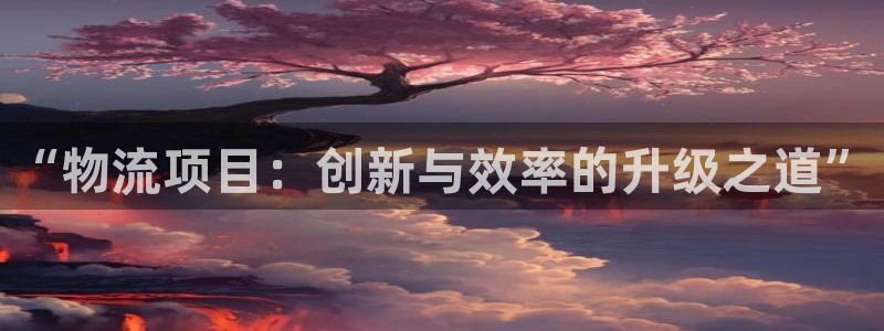 多多28官网预测：“物流项目：创新与