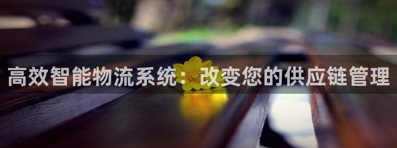 多多28怎么申请代理：高效智能物流系