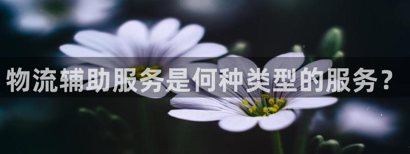 多多28提现未达5期是什么意思