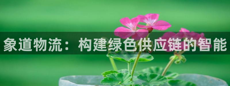 多多28软件：象道物流：构建绿色供应链的智能