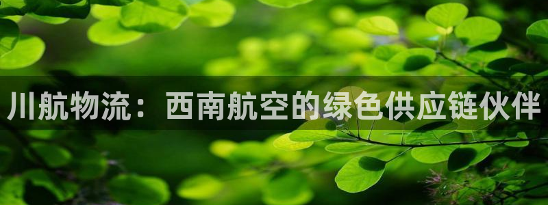 多多28为什么打不开：川航物流：西南