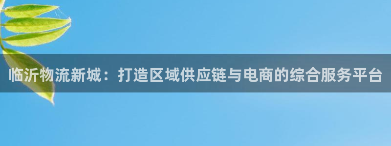 多多28旗下：临沂物流新城：打造区域