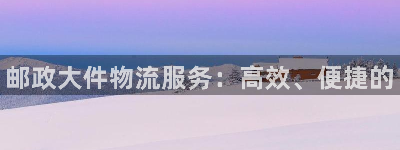 多多28登录不上咋回事：邮政大件物流服务：高效、便捷的