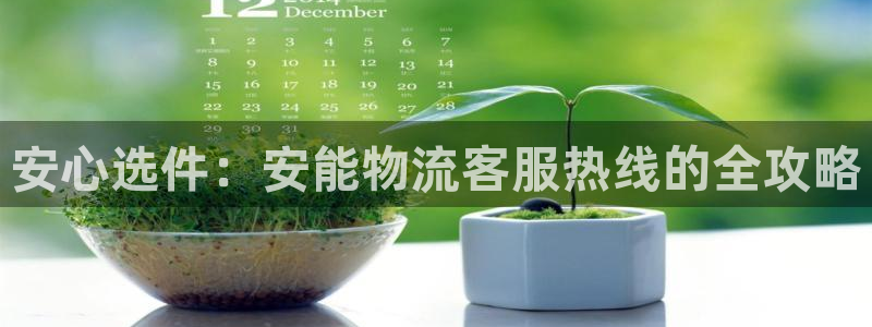 多多28加拿大能提现吗：安心选件：安