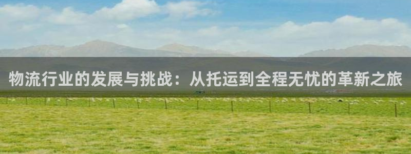 多多28官网入口2024：物流行业的