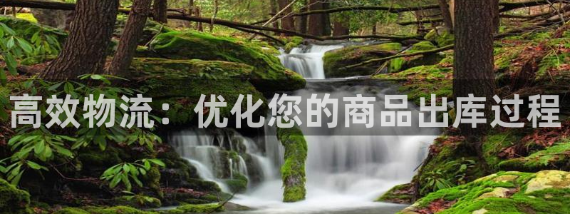 多多28加拿大开奖：高效物流：优化您