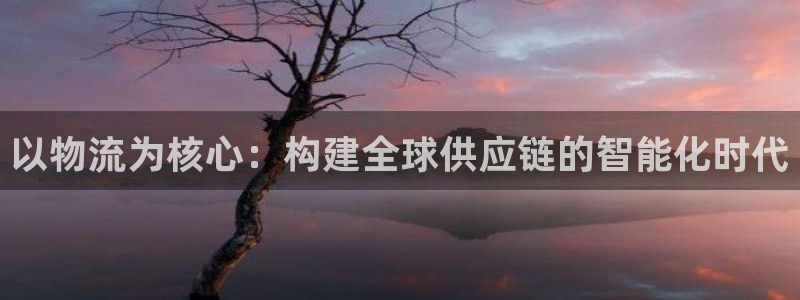 多多28官网下载链接是什么：以物流为