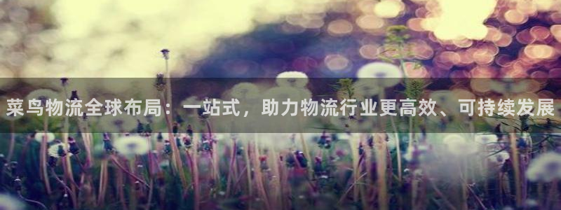 多多28赌博软件正规吗:菜鸟物流全球