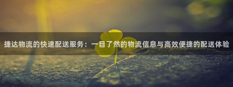 多多28注册链接教程：捷达物流的快速