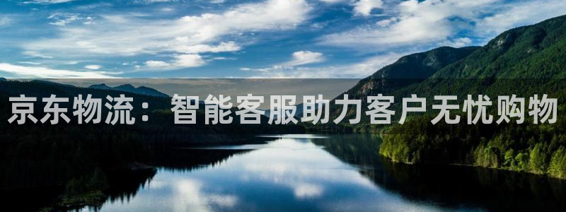 多多28官网入口正版:京东物流:智能