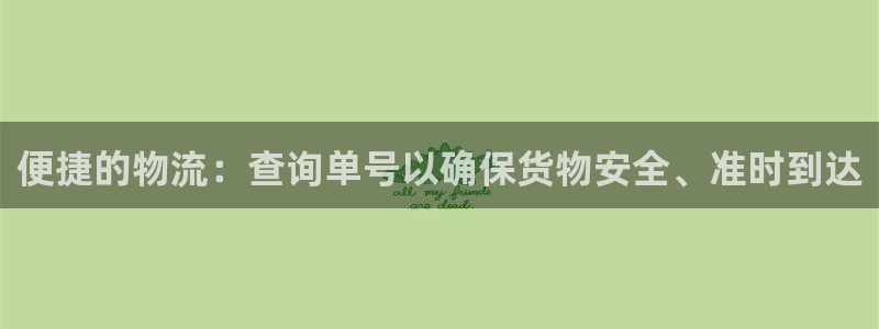 多多28加拿大下载：便捷的物流：查询单号以确保货物安全、准时