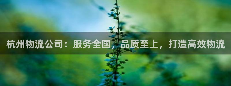 多多28官网入口pcios:杭州物流