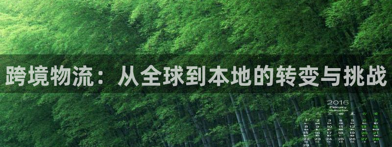 多多28充值不到账怎么回事:跨境物流
