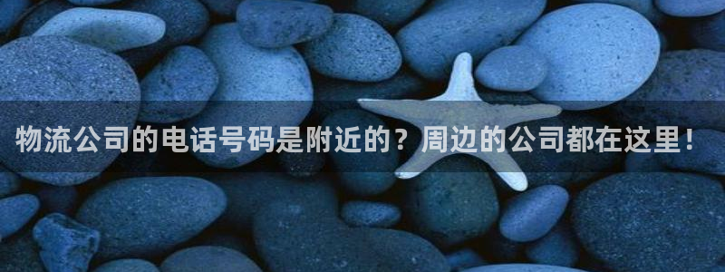 多多28app怎么注册账号:物流公司