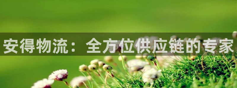 多多28软件堵什么反什么:安得物流: