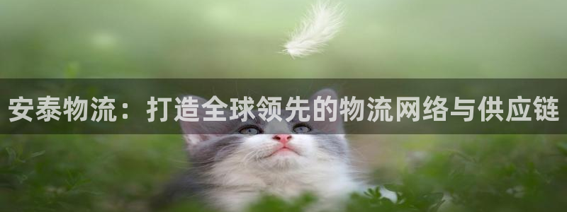 多多28ip被限制怎么解决:安泰物流