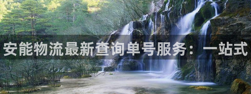 多多28游戏官网版:安能物流最新查询